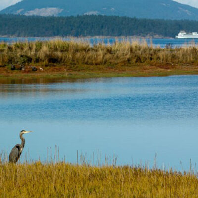 The Spit lopez island