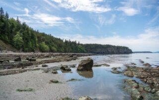 Big boulder along sandy shoreline at lowtide