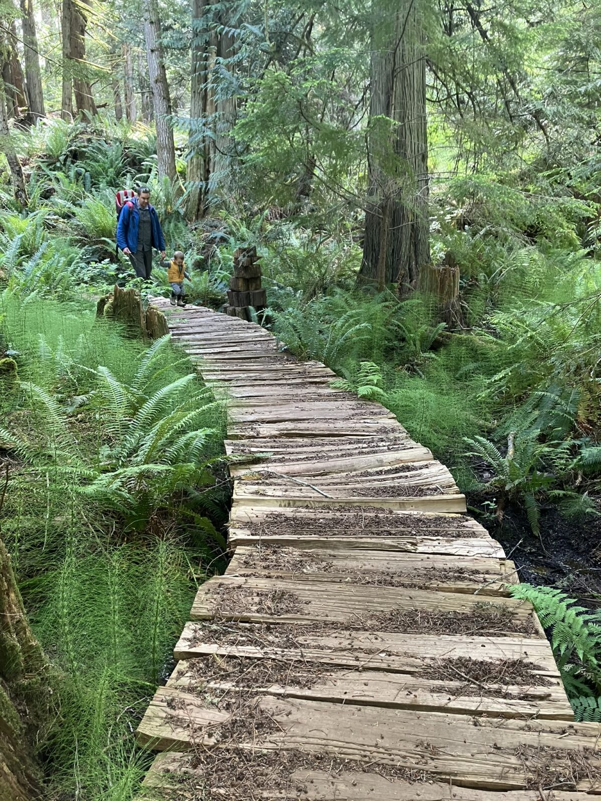 Cady Mountain Preserve Open for Public Access – San Juan County ...