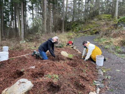 Land Bank volunteers planting native shrubs