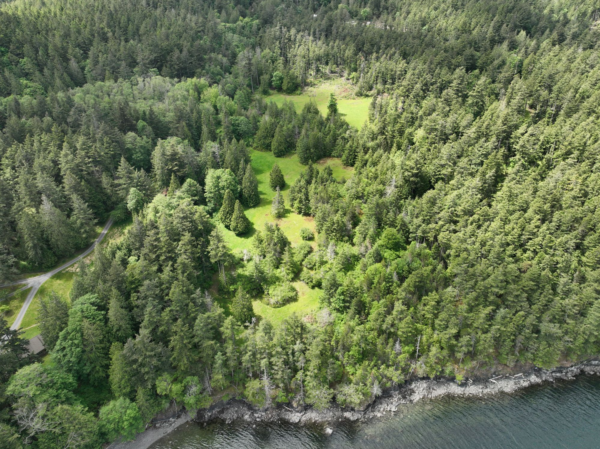 Shoreline along upland forest