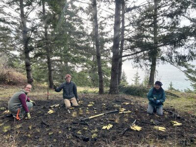 three people on a treed hillside planting native wildflowers